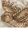 wise owl