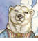 Polar Solstice