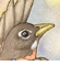 robin no border
